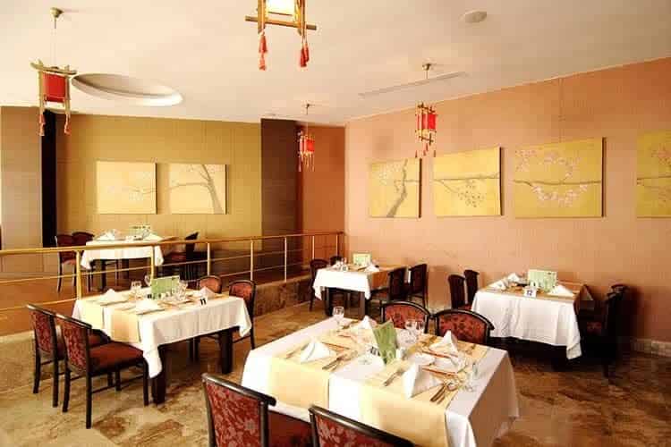 Amelia Beach Resort Hotel Spa